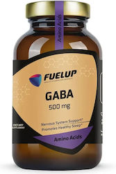Fuel Up Gaba Fuel Up Gaba