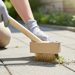 Βούρτσα