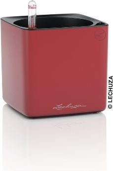 Lechuza Cube Premium Selbstbewässernder Blumentopf Scarlet Rot 14x14x14cm