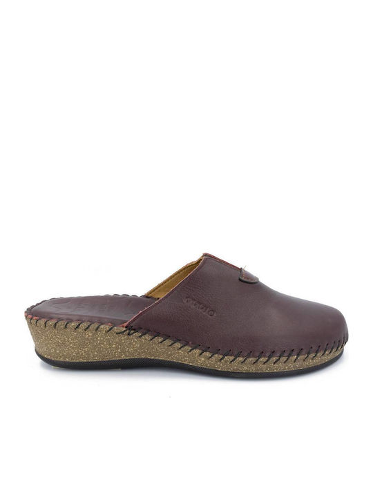 Castor Anatomic Anatomic Leather Women's Slippe...