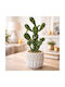 Artificial Decorative Cactus Potted Plant 35cm