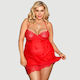 Plus Size Σέξι Διαφανές Δαντελένιο Babydoll Κέντημα Plus Size Sexy Sheer Floral Eyelash Trim Lace Babydoll Set Underwire Κόκκινο