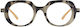 Oceanides Eyewear Ochelari De Citit +2.00 În Culoare Gri