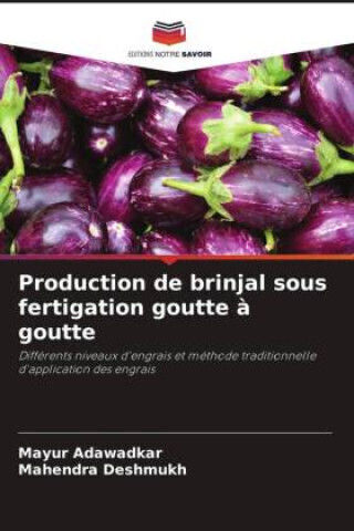 Production De Brinjal Sous Fertigation Goutte À Goutte