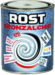 3 in 1 Silber Bronzed Alkydfarbe 0.75l Schutz Finish