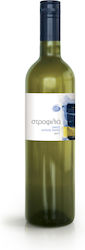 Στροφιλιά Λευκό Ξηρό 750ml