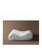 SteweHome Orthopedic Bed Pillow Made of Cotton Visco Antibacterial Comfortable Elegant Beige 40x60cm