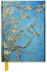 Flame Tree With White Pages A5 Flame Tree With White Pages A5