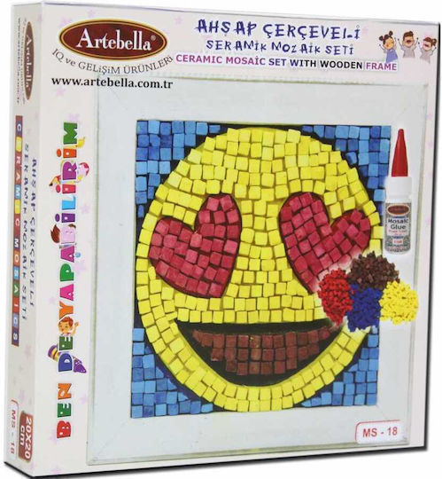 Mosaic Face Set Construction 20x20 Frame Glue Artebella