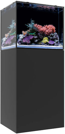 Waterbox Aquariums Acvariu Marin cu Capacitate de 207l cu Suport de Mobilier, Filtru Negru