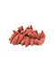 Backflow Incense Cones Dragons Blood 20pcs