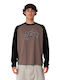 T-shirt Pinecone