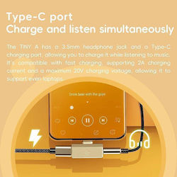 Fiio Snowsky Tiny A Black – Portable Usb Dac & Headphone Amplifier 10-band Peq Pcm 384khz/dsd256 3.5mm + Type-c Charging
