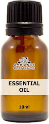 Essential Oil Grapefruit 10ml