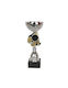 Tryumf Gold Sports Trophy