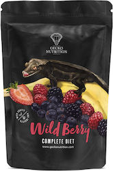 Gecko Nutrition Wild Berry 50gr