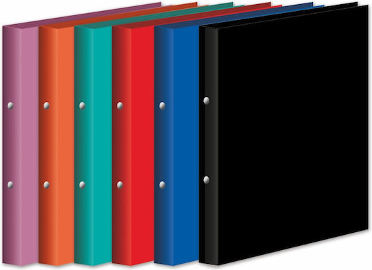 School Plastic A4 2-Ring Binder 6 Colors Pack-5 Pieces