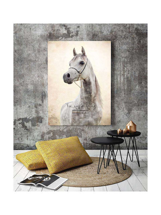 Canvas Painting White Horse Knv322 45cm X 65cm