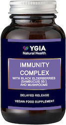 Ygia Immunity Complex W/Black Elderberries & Mushrooms 600mg 60 κάψουλες Ygia Immunity Complex W/Black Elderberries & Mushrooms 600mg 60 κάψουλες