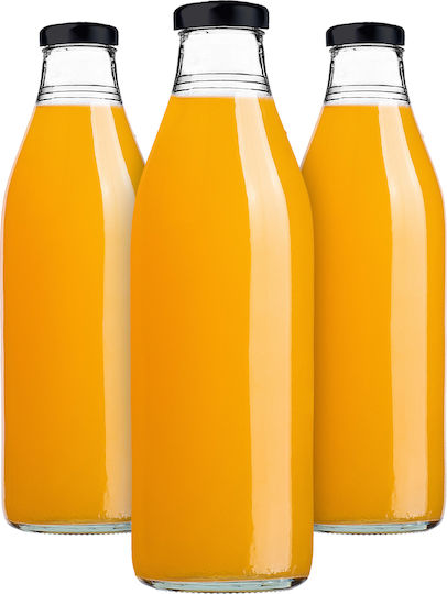 Kadax Glas Wasserflasche mit Schraubdeckel Transparent 1000ml 3 Stücke