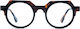 Genesis 1635 C03 Brillengestelle mit Rezept Acetat Braun