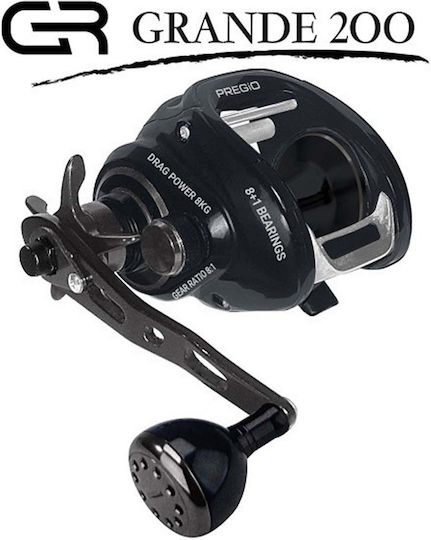 Pregio Fishing Reel for Tai Rubber Slow Jigging Inchiku Vertical