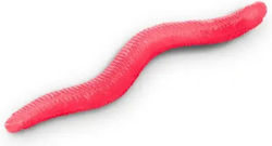 Delphin Artificial Bait