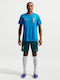 Brasil Men's Shorts Dri-Fit Green