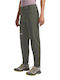Jack Wolfskin Men's Long Hiking Trousers Brown