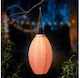 Kaemingk Hanging Solar Light Lantern Warm White With Photocell 22x33cm