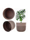 Kadax Ghiveci De Flori Din Plastic Bej 15x15cm
