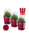 Kadax Set of 3 Plastic Pink Flower Pots with Saucer