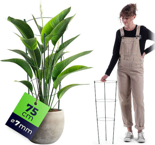 Ring Support Plants Flowers 75 Cm Metal Support Hoops