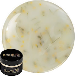 Uv Gel Nail Construction Revoflex Silk Petal Lu...