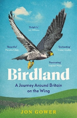Birdland: A Journey Around Britain On The Wing Jon Gower Harpernorth