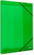 Metron Кутия с Гумена Лента 25x35x3см Прозрачен Зелен