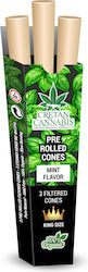 Cretan Cannabis Μηχανάκι Cretan Cannabis Μηχανάκι