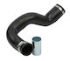Intercooler-Ladeluftkühler Renault Laguna III Breitengrad 2.0dci 8200551943