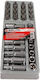 Selta Torx Steckdosen mit Rahmen Gastgeber 1/2" Set 32 Stück