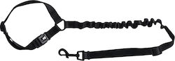 Flamingo Dog Leash Lead Strap Black