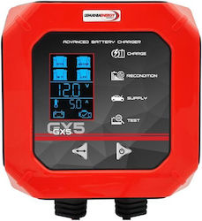 Lemania Energy Batterieladegerät Für Auto 12V 8762 Lemania Energy Batterieladegerät Für Auto 12V 8762
