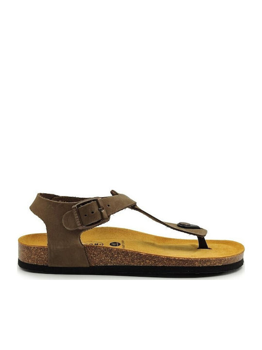 Plakton Bali Women's Sandals Apure Khaki