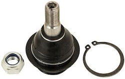 Bolt Braț De Suspensie Ford Turneo Custom Camion Tranzit Mk6 Furgonetă Tranzit V363 Tranzit Connect Mk1 Turneo Custom Autobuz Bolt Braț De Suspensie Ford Turneo Custom Camion Tranzit Mk6 Furgonetă Tranzit V363 Tranzit Connect Mk1 Turneo Custom Autobuz