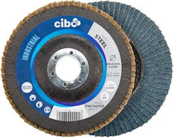 Cibo Grinding Disc 125x22mm N40 Fnc Metal