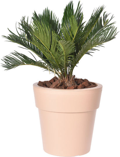 Viomes Plastic Flower Pot Beige Sand 25x25x24cm