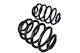 Maxgear Car Suspension Spring for Renault Clio 98-05 Rear