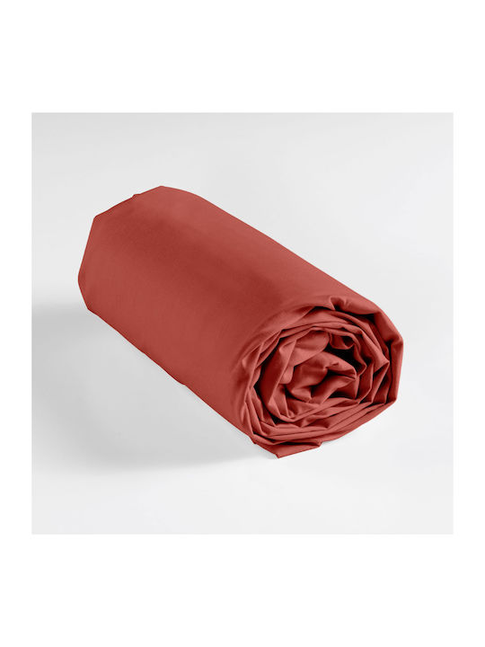 L-c Lina Double Bed Sheet With Rubber Hugger 16...
