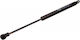 Gas Shock for Rear Trunk Window for Citroen C3 Pluriel
