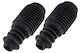 Shock Absorber Bumper Guard Set Renault Laguna 01-07 Front 7700833756