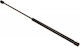 Bonnet Shock Absorber for Tailgate Hyundai i30 07 817812r000